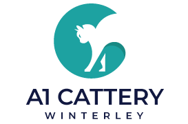 A1 Cattery | Winterley, Cheshire near Sandbach